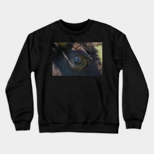 Eye to Eye Crewneck Sweatshirt